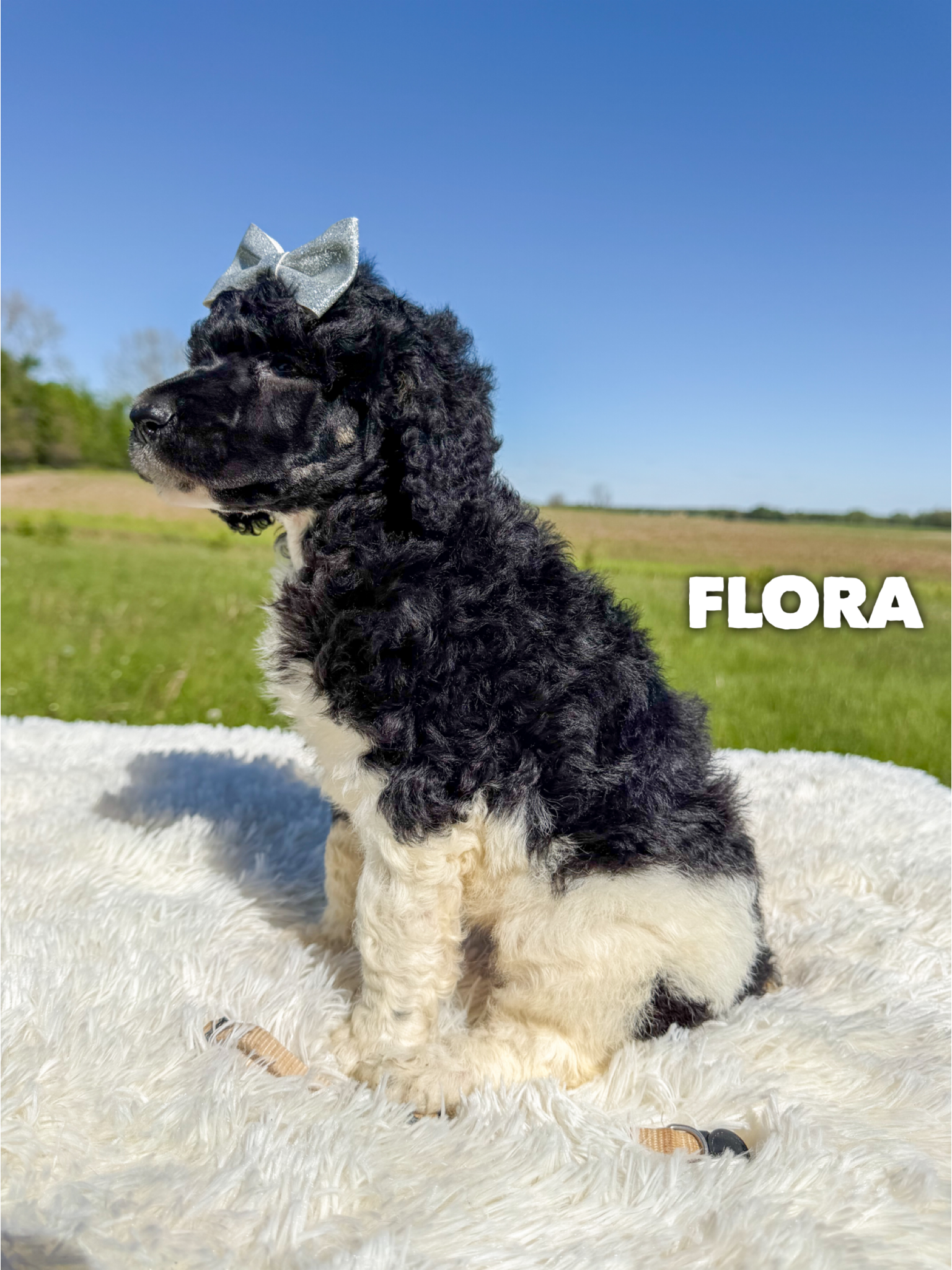 Flora 4